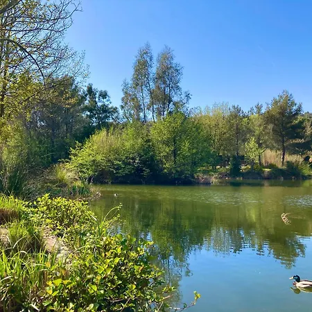 Διαμέρισμα Les Restanques 2036 Rez Jardin Jonquilles *